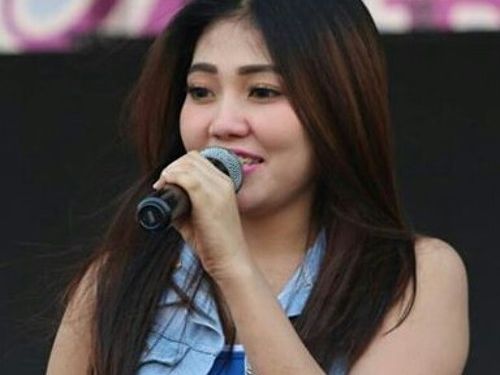 Kumpulan Lagu Via Vallen Terbaru Download Mp3 Lengkap