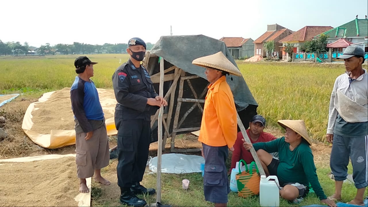 Brimob Jabar Melaksanakan Patroli Ketahanan Pangan Di Desa Winong