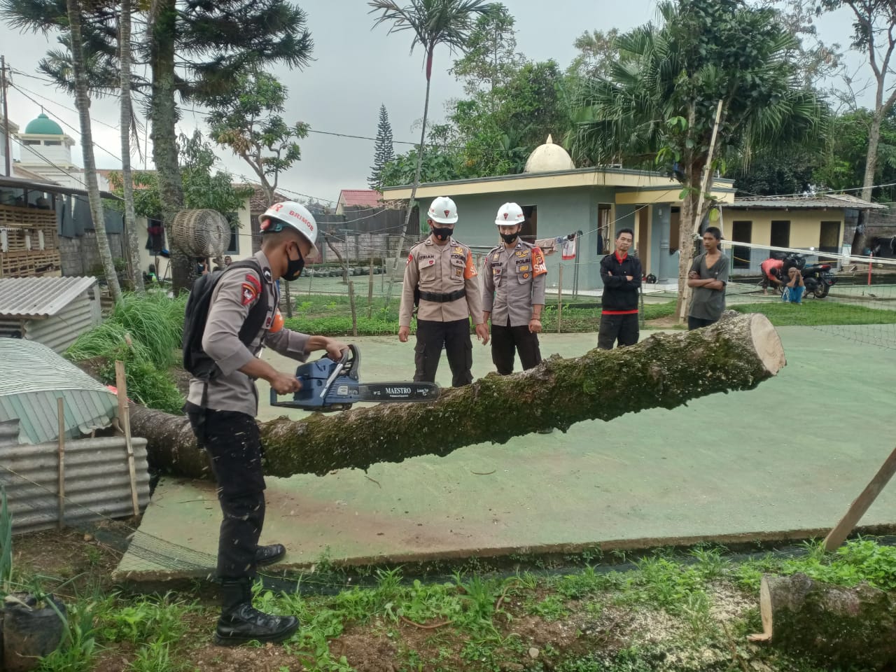 Brimob Jabar Evakuasi Pohon Tumbang Di Pondok Purani Kemanusiaan Cipanas