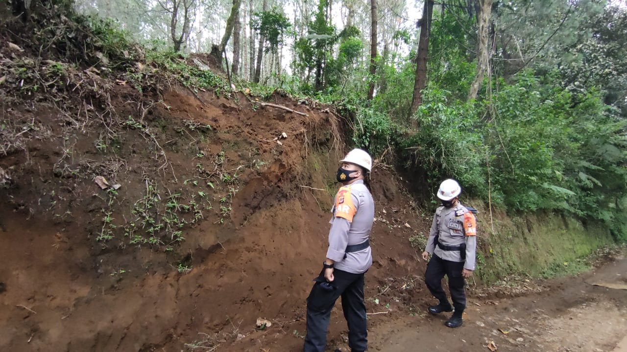 Tim Patroli SAR Brimob Jabar Cek Tebing Rawab Longsor Ke Hutan Pinus Lembang
