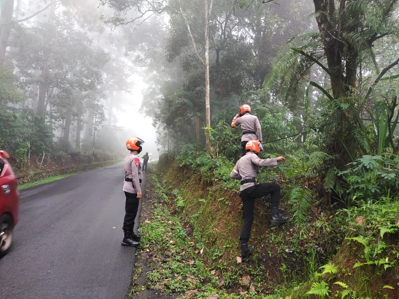 Tim SAR Brimob Jabar Cek Pohon Rawan Tumbang Di Sekitar Jalan Lembang