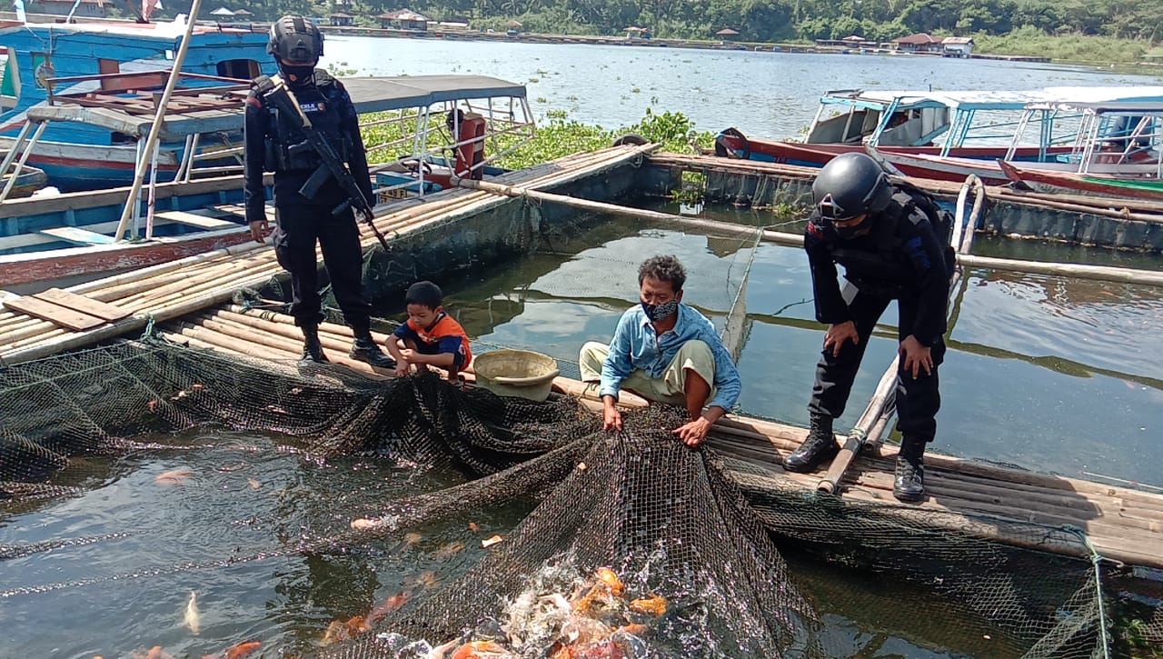 Brimob Jabar Bantu Perekonomian Warga Jangari Dengan Budidaya Ikan Air Tawar