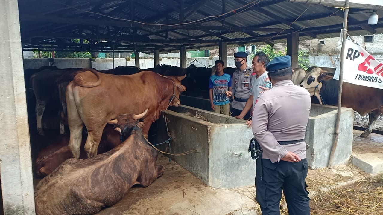 Sambang Peternak Sapi Desa Binaan, Bentuk Dukungan Brimob Jabar Dalam Upaya Ketahanan Pangan Nasional