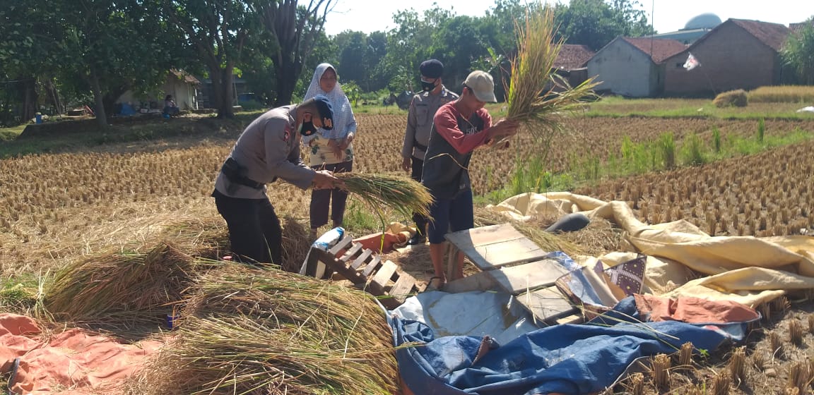 Personil Brimob Polda Jabar Wujudkan Ketahanan Pangan Nasional Di Tengah Pandemi Covid 19