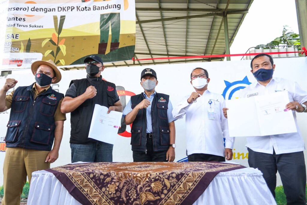 Lahan Bekas TPA PT. Pindad Dimanfaatkan Warga untuk Kebutuhan Pangan, Oded: Tanahnya Subur