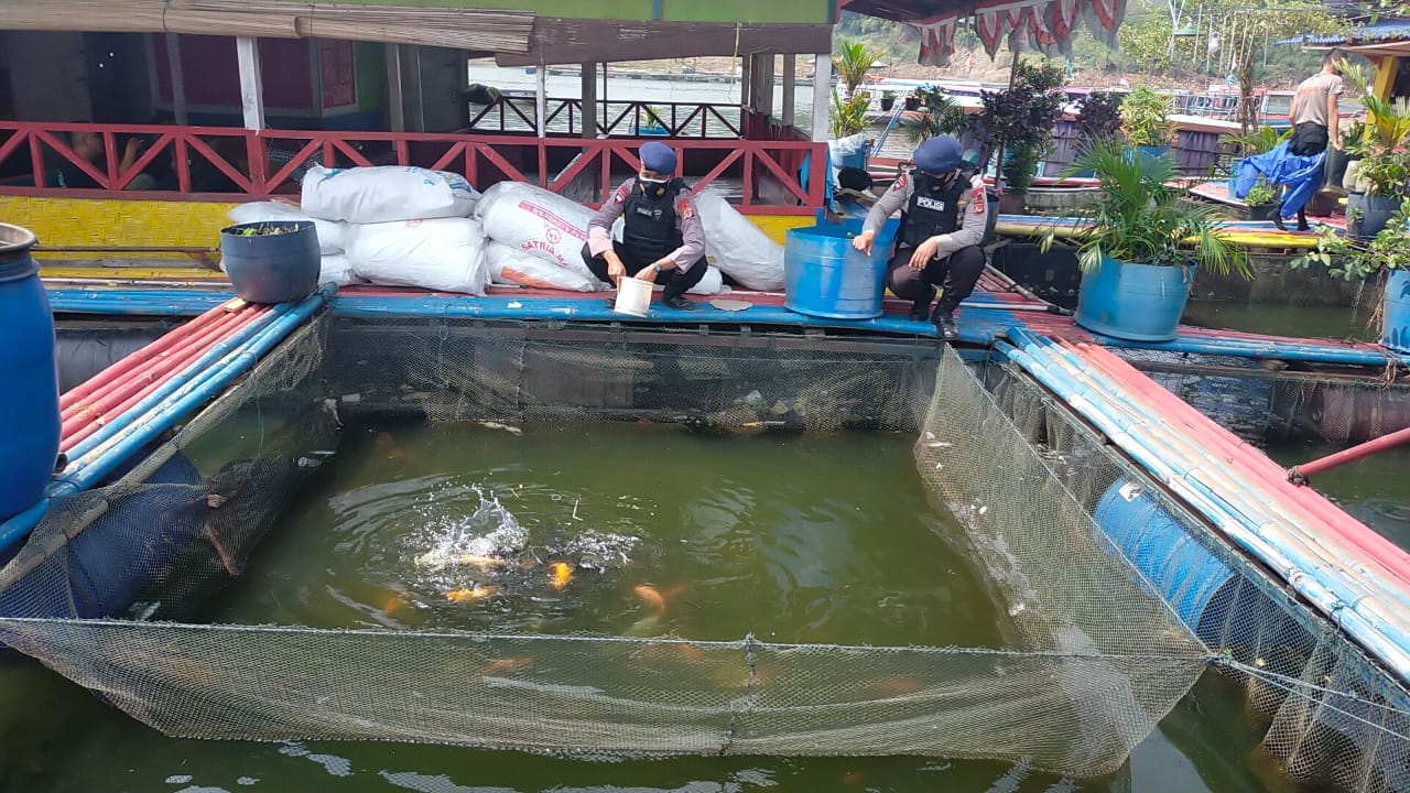 Jaga Ketahanan Pangan, Brimob Jabar Dan Masyarakat Budidaya Ikan Air Tawar