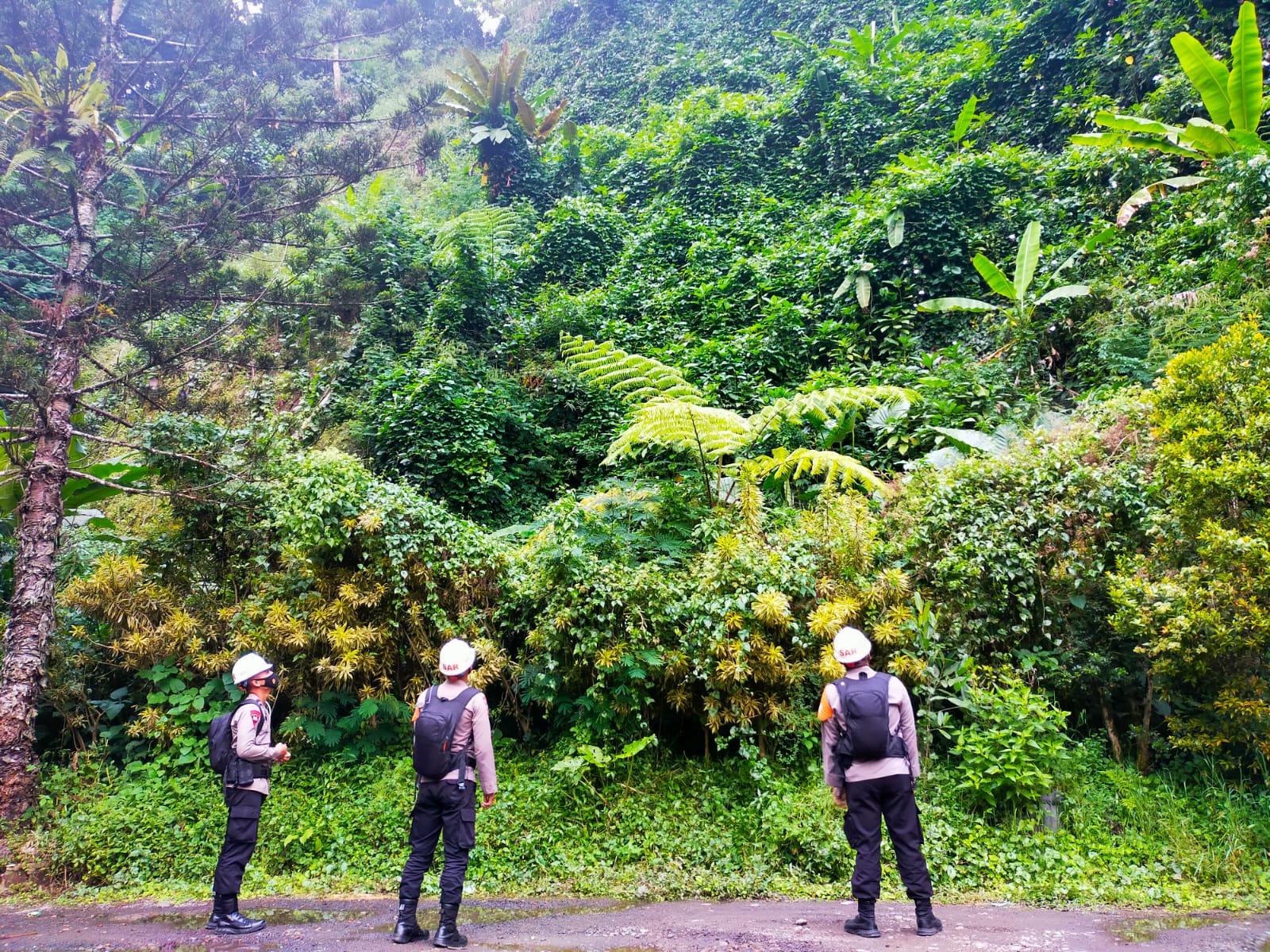 Pasca Diguyur Hujan, Patroli SAR Brimob Jabar Cek Tebing Rawan Longsor Wilayah Cianjur