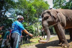 Pemkot Bandung Hidupkan Budaya Bersepeda dengan Mengemas Wisata Tematik