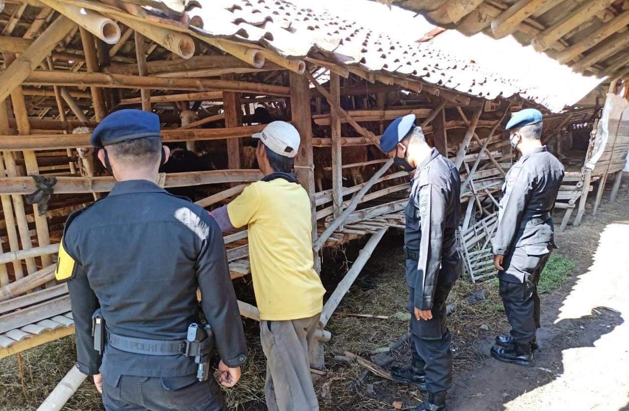 Brimob Jabar Melaksanakan Patroli Ketahanan Pangan Ke Peternak Kambing Desa Wanasaba Kidul