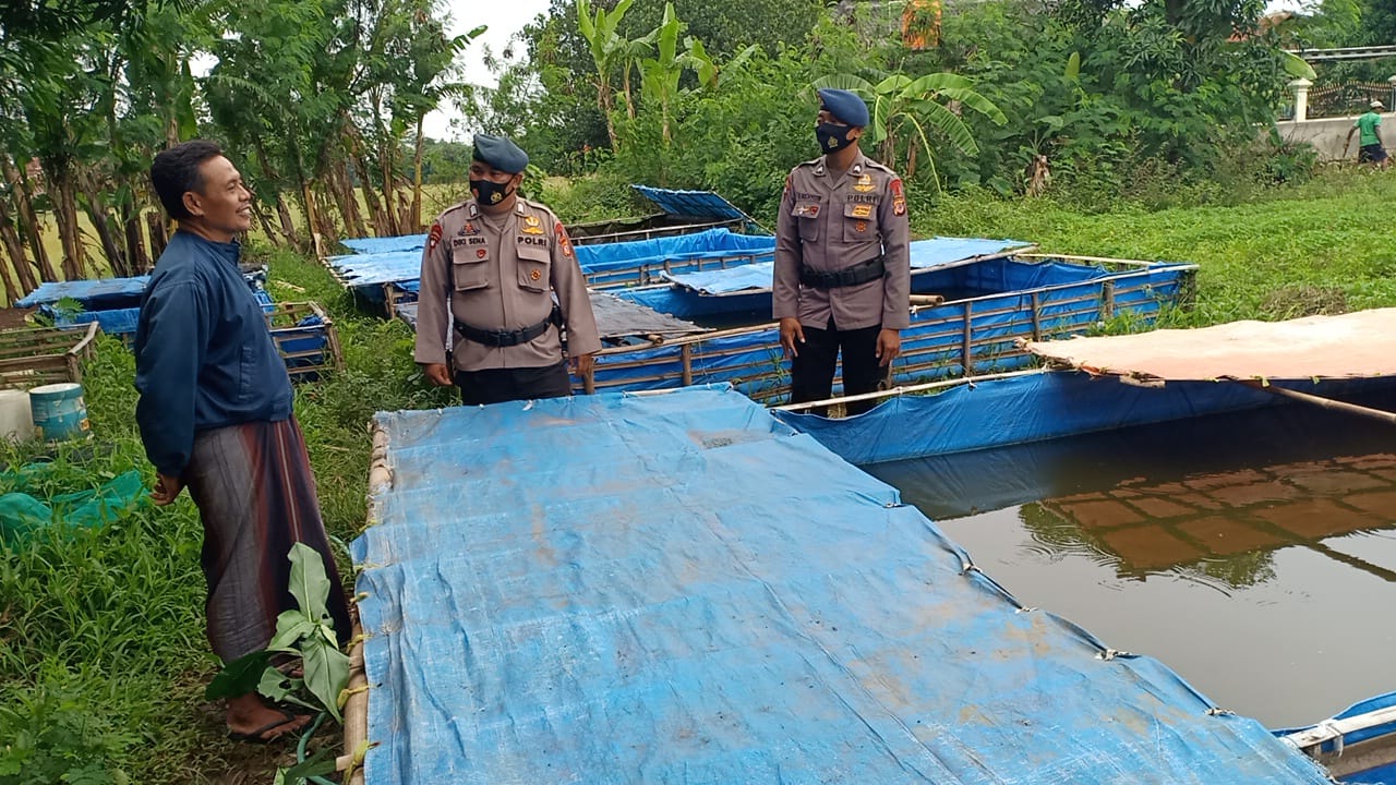 Brimob Jabar Kunjungi Peternak Ikan, Dukung Program Ketahanan Pangan Nasional