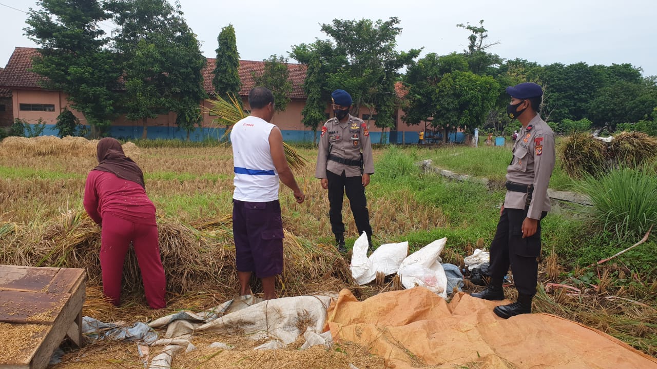 Terciptanya Ketahanan Pangan Nasional Yang Kuat Ditengah Pandemi Covid-19, Satuan Brimob Jabar Bina Dan Edukasi Petani
