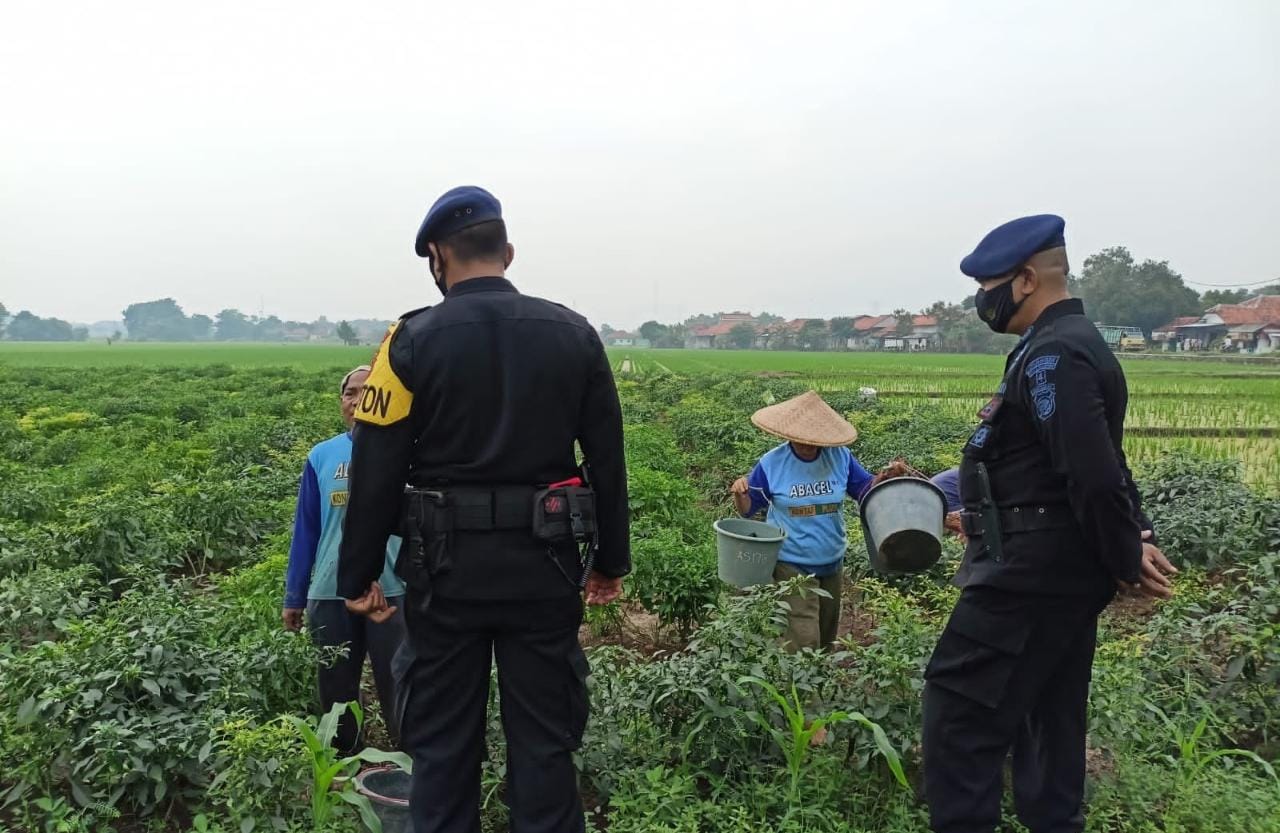 Patroli Ketahanan Pangan Brimob Jabar Di Desa Wanasaba Kidul