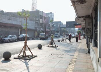 OTW Bandung Teduh, Pemkot Taman 100 Pohon Pule Sepanjang Jalan Sudirman