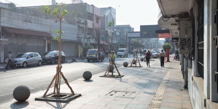 OTW Bandung Teduh, Pemkot Taman 100 Pohon Pule Sepanjang Jalan Sudirman
