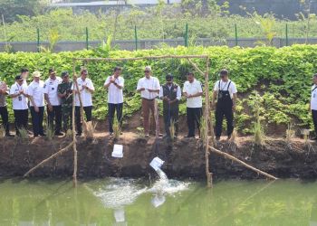 Tedy Rusmawan Sambut Baik Kolam Retensi Pengendali Banjir Tiga Wilayah