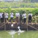 Tedy Rusmawan Sambut Baik Kolam Retensi Pengendali Banjir Tiga Wilayah