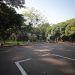 Friday Car Free: Balai Kota Lebih Asri dan Sejuk