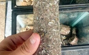 Komunitas Tionghoa Kota Kota Bandung Gagas Mesin Pengolah Sampah Nawasena