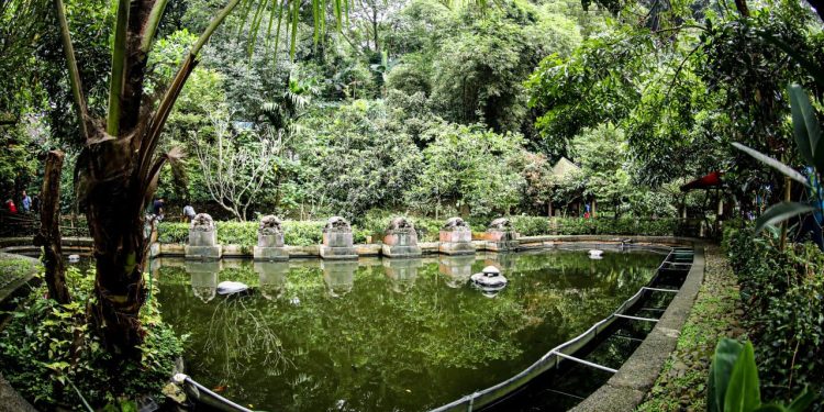 Jejak Sejarah Babakan Siliwangi, Ruang Hijau yang Berharga di Tengah Kota Bandung
