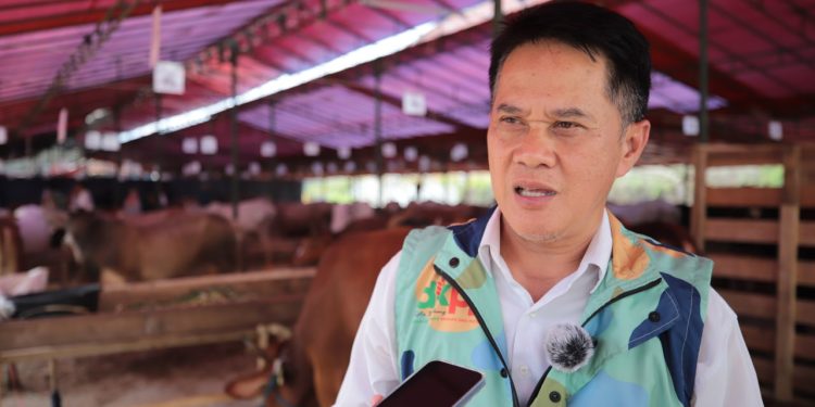 Jelang Iduladha, Pemkot Bandung Gelar Pemeriksaan Hewan Kurban