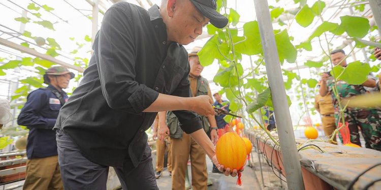 Penjabat Wali Kota Optimis Pengembangan Ketahanan Pangan di Kota Bandung Bisa Unggul