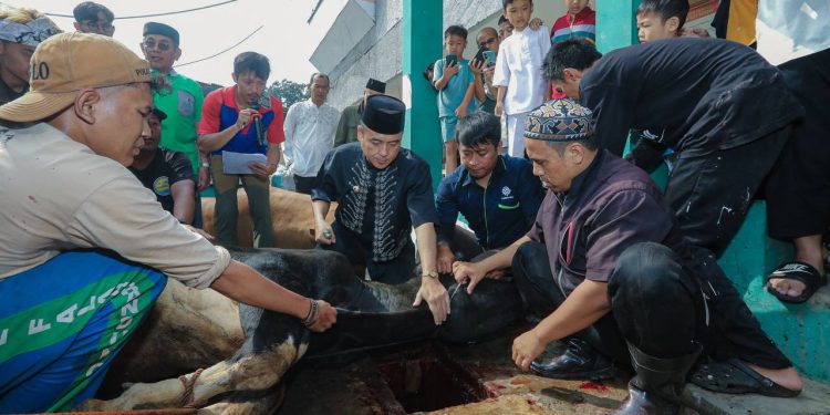 Pemkot Bandung akan Terus Pantau Penyembelihan Hewan Kurban Selama Hari Tasrik