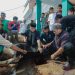 Pemkot Bandung akan Terus Pantau Penyembelihan Hewan Kurban Selama Hari Tasrik