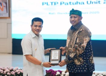 Usulan Bupati Bandung Soal Participating Interest Panas Bumi Disambut Baik, Ini Saran Dirut Geo Dipa