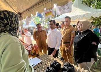 Asep Sudrajat Meninjau GPM di Taman Kersen Kelurahan Derwati