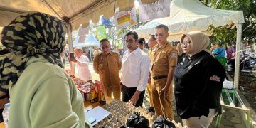 Asep Sudrajat Meninjau GPM di Taman Kersen Kelurahan Derwati