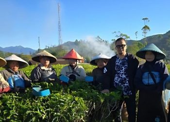 SPBUN dan FPHJ Tolak Reforma Agraria di Hutan: Pertahankan Aset Negara dan Kesejahteraan Pekerja