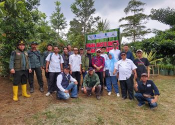 SOMASI Gelar Penanaman Pohon di Gambung, Dorong Kolaborasi Pentahelix untuk Selamatkan Lingkungan