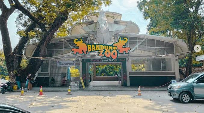 Konflik Bandung Zoo, Serikat Pekerja Mandiri Derenten Apresiasi Langkah Pemkot
