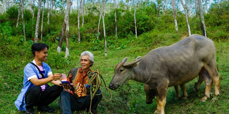 Ekonomi Sukabumi Menguat, KUR BRI Cibadak 2026 Topang UMKM Produktif