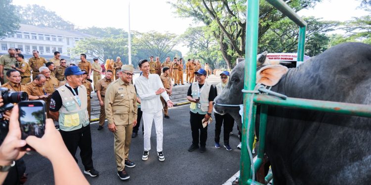 Pemkot Bandung Kerahkan 184 Petugas, Pastikan Hewan Kurban Sehat hingga Hari Tasyrik