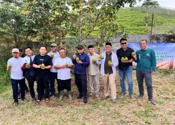 BAZNAS Jabar Dampingi Petani Cianjur, Alpukat yang Ditanam Lima Tahun Mulai Dipanen